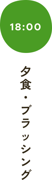 夕食・ブラッシング